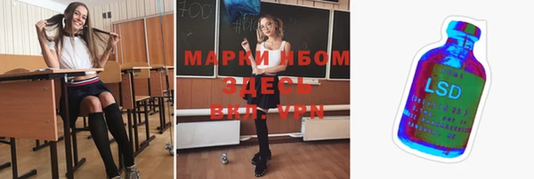 ПСИЛОЦИБИНОВЫЕ ГРИБЫ Слюдянка