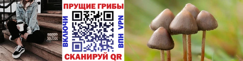 МЕГА как войти  Курлово  Галлюциногенные грибы GOLDEN TEACHER 